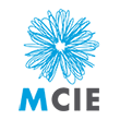 mcie institute australia