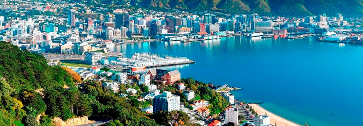 visa and immigration consultant newzealand immigration consultant