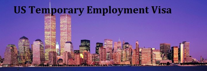 usa temporary employment visa