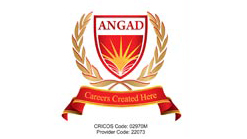 anged australian institute logo